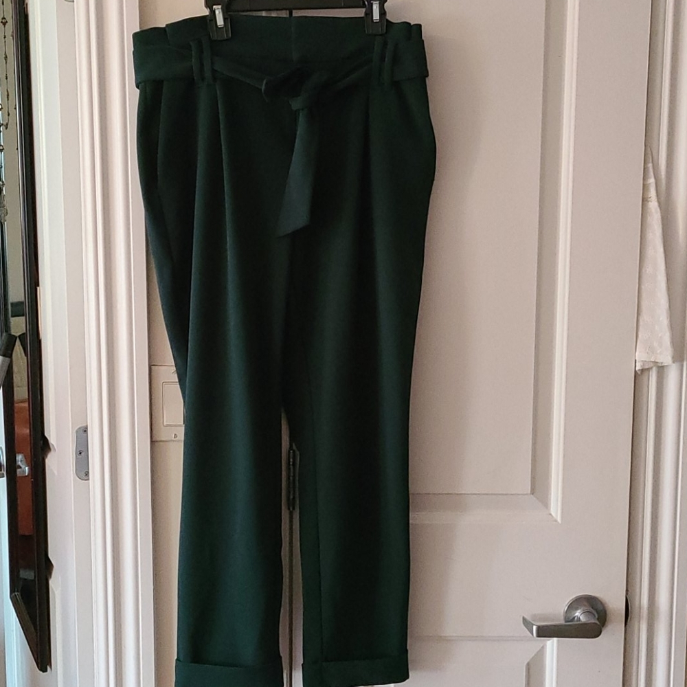 Inc skinny leg, high rise,regular length pants